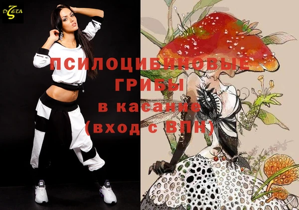 спиды Покачи