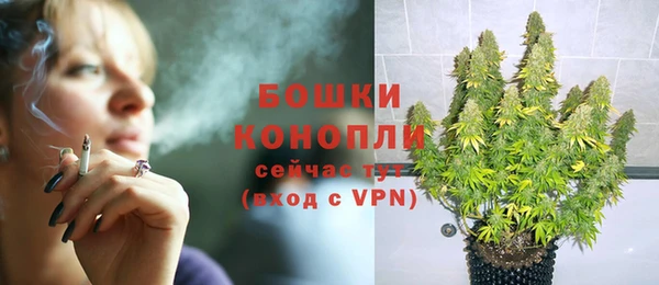 спиды Покачи
