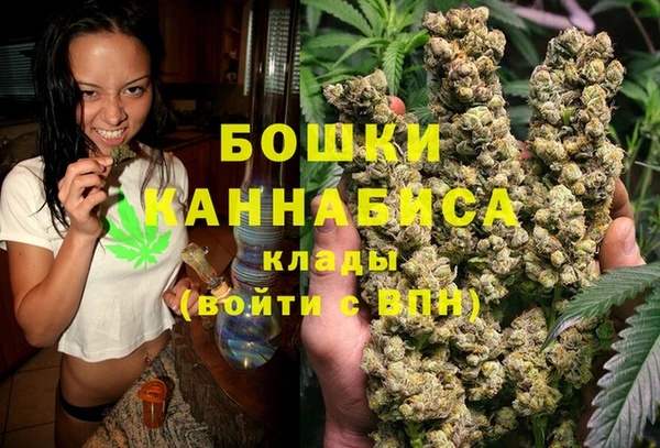 гидра Покров